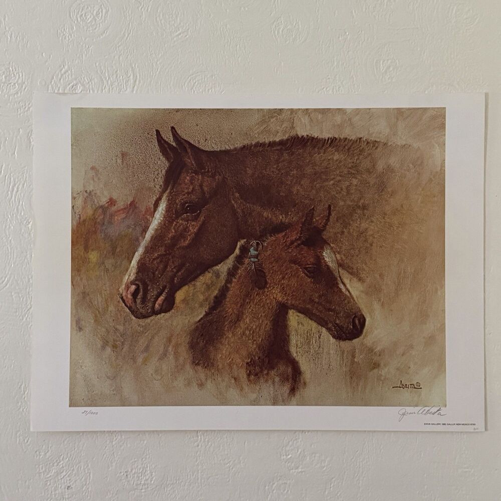 Jim Abeita Navajo Artist Signed Lithograph Print 27/1000 Horse Foal 18 X 24”